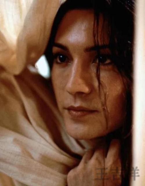 尊龙正规版官网入口与安全访问指南 尊龙正规版官网入口与安全访问指南